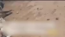 Türkmenistanda mallar köpçülikleýin gyrylýar